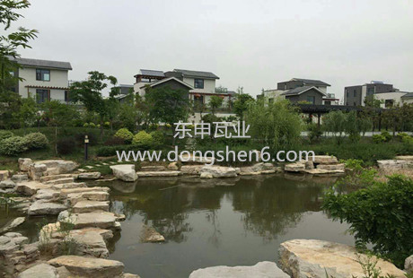 �����ߏS��