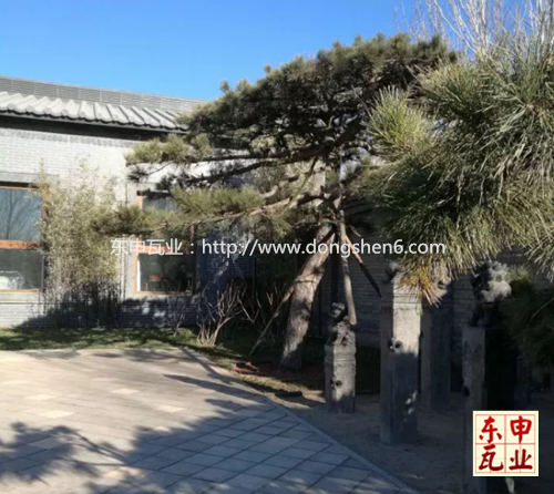 �B�w�¹���